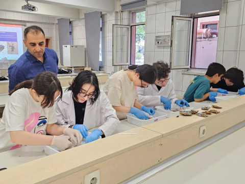 Beynəlxalq Biologiya Olimpiadasına SEÇİM imtahanı keçiriləcək
