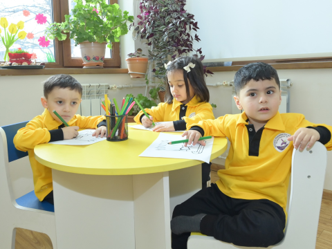 Bu hal bağçaya qəbulda imtiyaz kimi nəzərə alınsın &ndash; Deputatdan TƏKLİF
