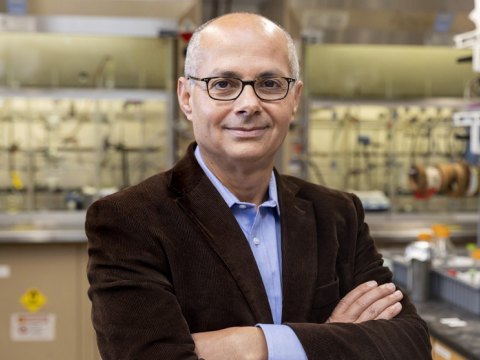 Nobel mükafatı laureatı Berkli Universitetindən ayrılaraq Çində yeni vəzifəyə keçir